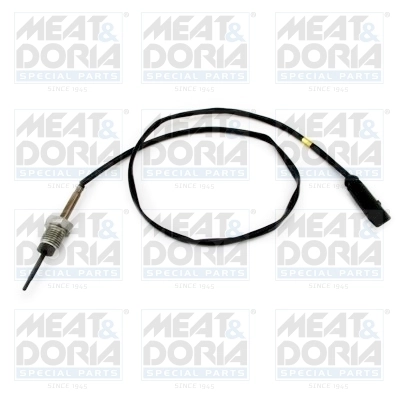 Sensor, exhaust gas temperature